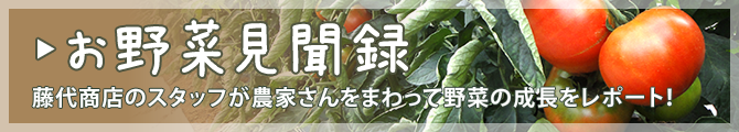 お野菜見聞録